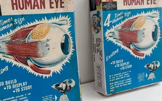 Double Vision